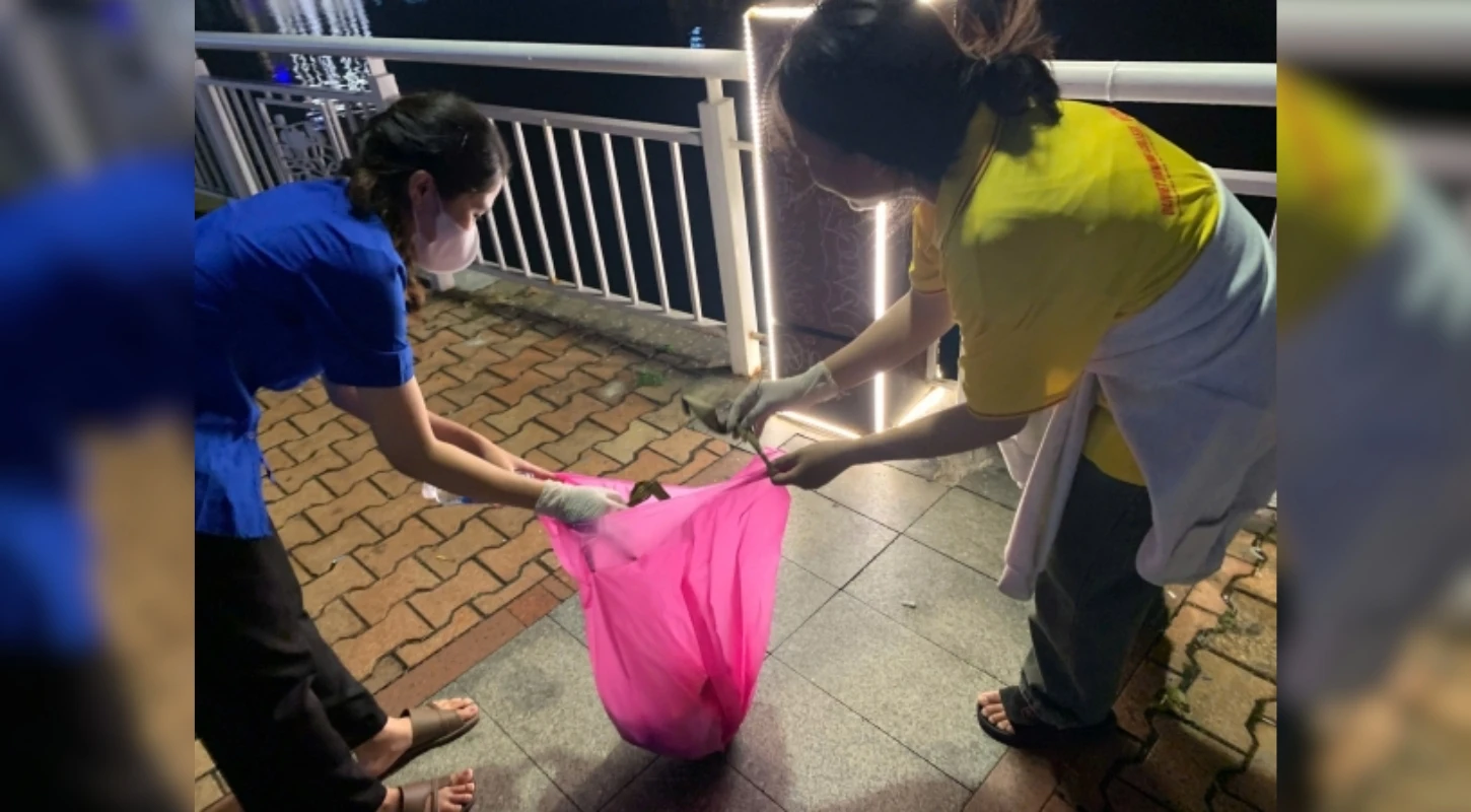 Sinh Viên Cao Đẳng Đại Việt Đà Nẵng Lan Tỏa Hành Động “Thắp Sáng Bầu Trời – Giữ Sạch Mặt Đất” | Trường Cao Đẳng Đại Việt Đà Nẵng