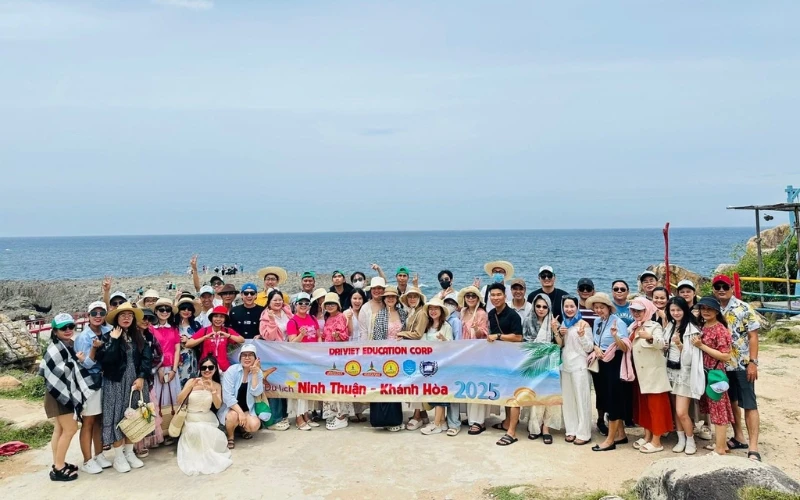 Cao Đẳng Đại Việt Đà Nẵng Và Vai Trò Trong Hệ Thống Giáo Dục Đại Việt