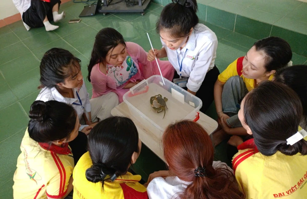 K23 Giáo dục Mầm non “về đích” khóa luận – sẵn sàng bước vào nghề