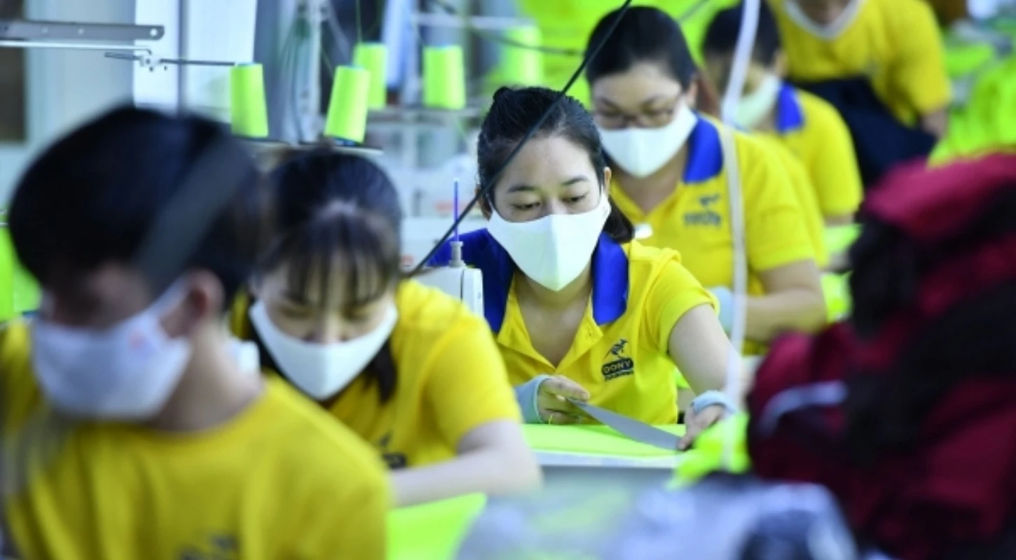 Dự Báo Xu Hướng Nghề Nghiệp 5 Năm Tới | Trường Cao Đẳng Đại Việt Đà Nẵng