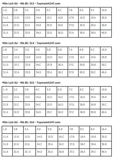 Gợi Ý & Giải Đề Lịch Sử THPT 2024 – Trường Cao Đẳng Đại Việt Đà Nẵng