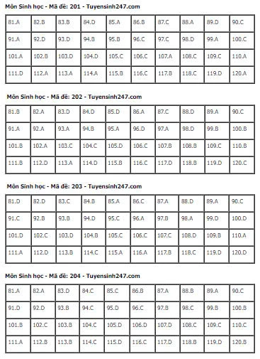 Gợi Ý & Giải Đề Sinh Học THPT 2024 – Trường Cao Đẳng Đại Việt Đà Nẵng