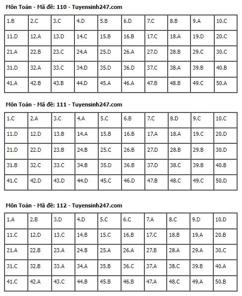 Gợi Ý & Giải Đề Toán THPT 2024 – Trường Cao Đẳng Đại Việt Đà Nẵng