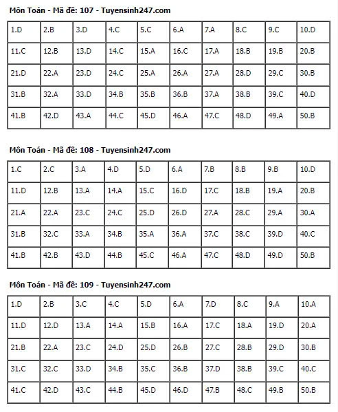 Gợi Ý & Giải Đề Toán THPT 2024 – Trường Cao Đẳng Đại Việt Đà Nẵng