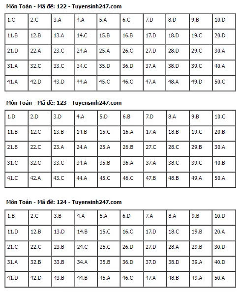 Gợi Ý & Giải Đề Toán THPT 2024 – Trường Cao Đẳng Đại Việt Đà Nẵng