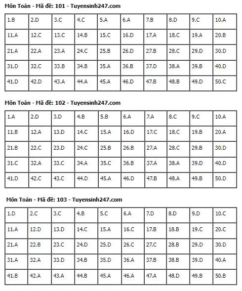 Gợi Ý & Giải Đề Toán THPT 2024 – Trường Cao Đẳng Đại Việt Đà Nẵng