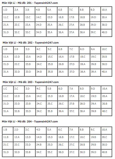 Gợi Ý & Giải Đề Vật Lý THPT 2024 – Trường Cao Đẳng Đại Việt Đà Nẵng