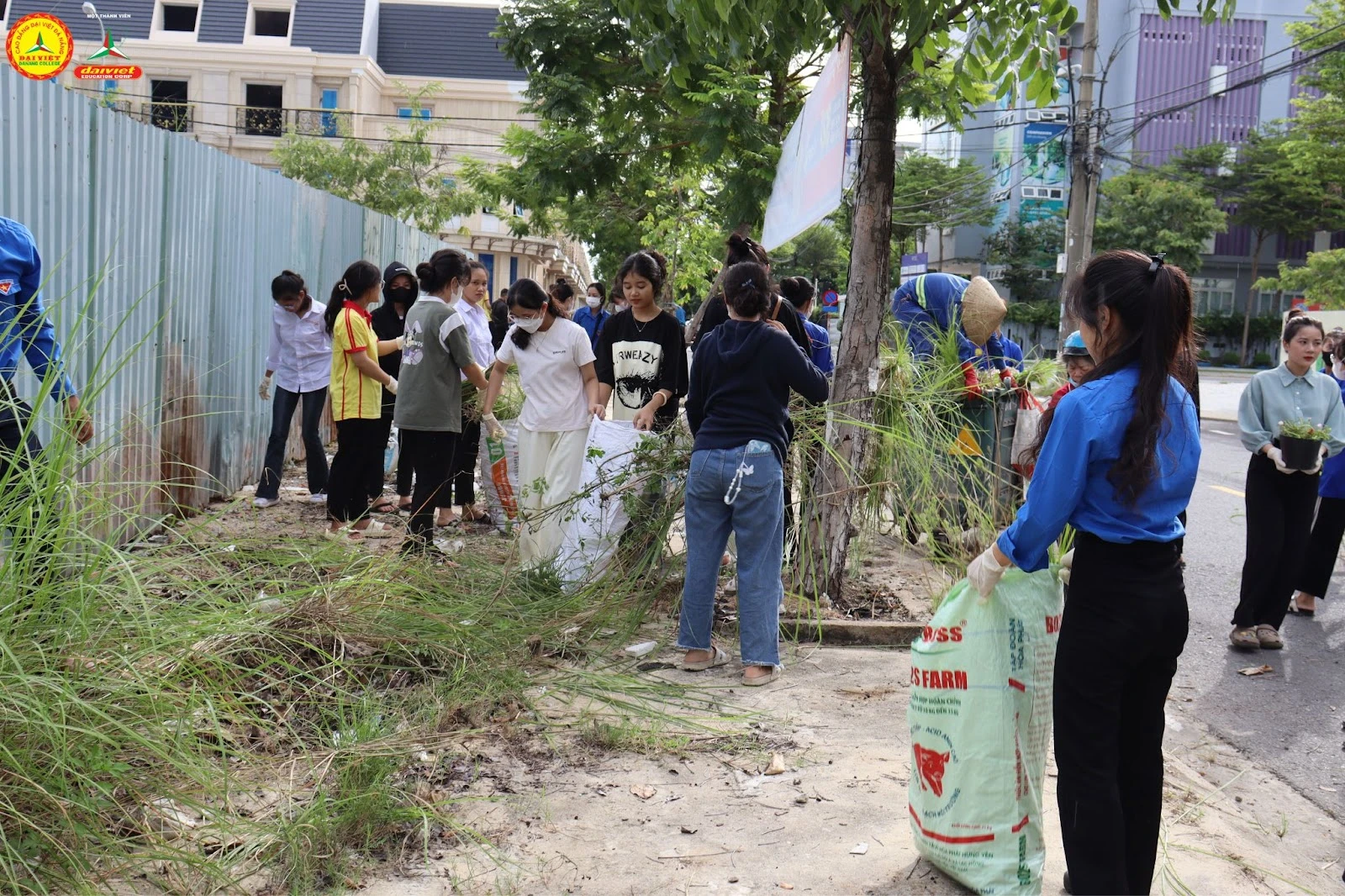Tuổi Trẻ Đại Việt Đà Nẵng Ra Quân Tuyến Đường Thanh Niên Tự Quản Vệ Sinh Môi Trường 2023