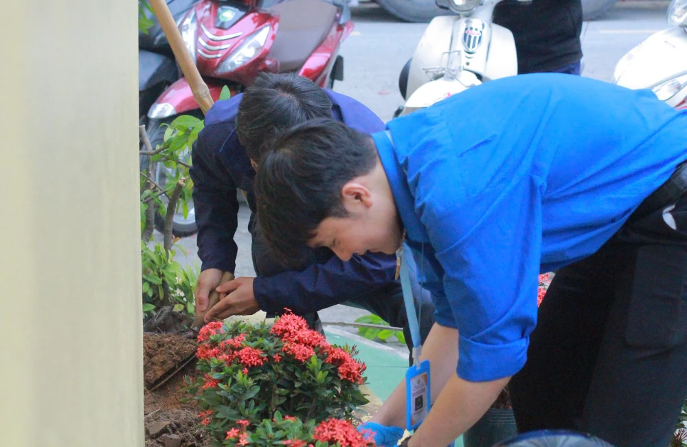 TUỔI TRẺ ĐẠI VIỆT HƯỞNG ỨNG TẾT TRỒNG CÂY