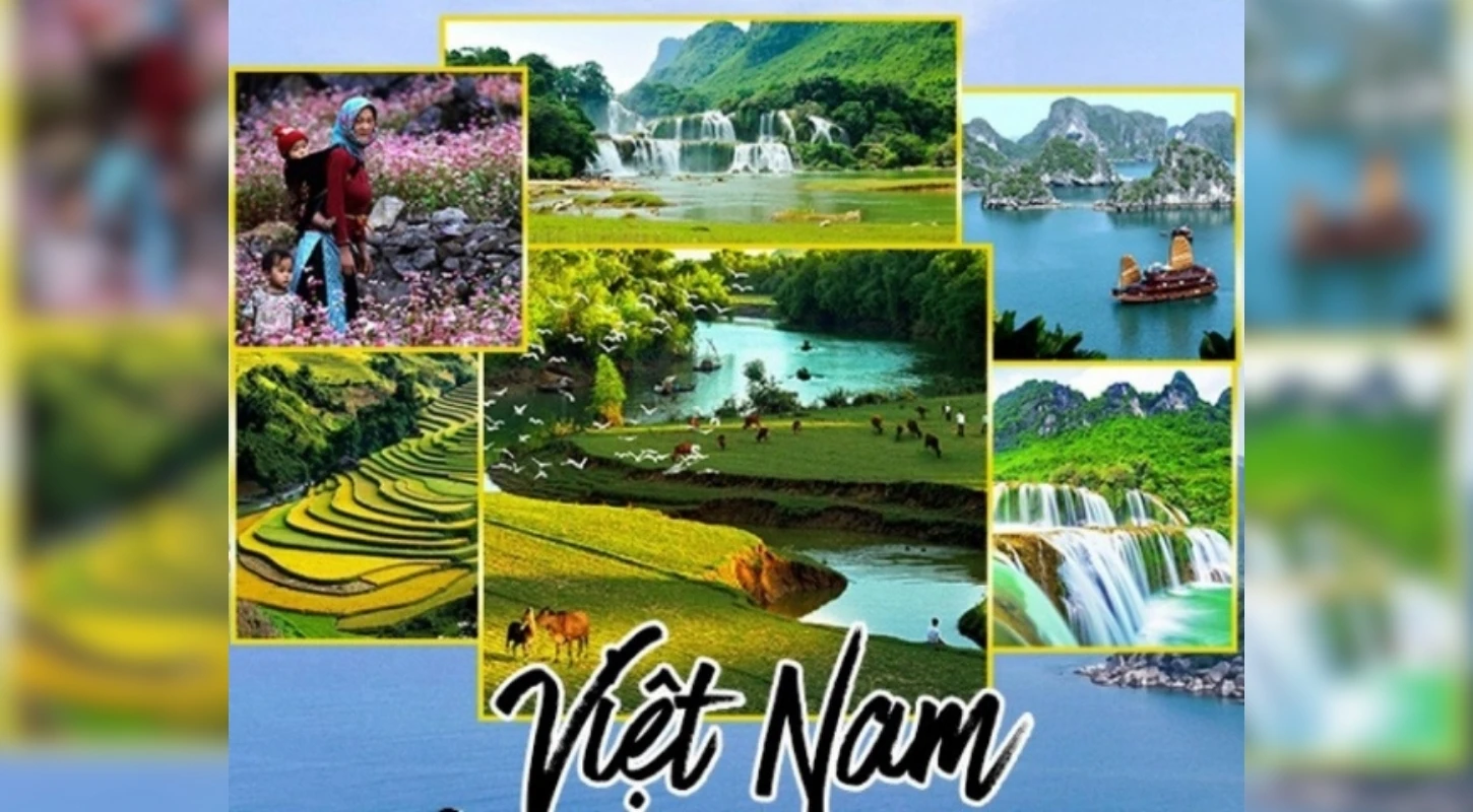 Ngành Du Lịch Trong Nước Động Lực Phát Triển Kinh Tế Việt Nam | Trường Cao Đẳng Đại Việt Đà Nẵng