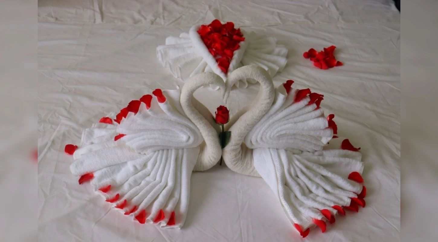 Nghiệp Vụ Buồng Phòng Khách Sạn | Trường Cao Đẳng Đại Việt Đà Nẵng