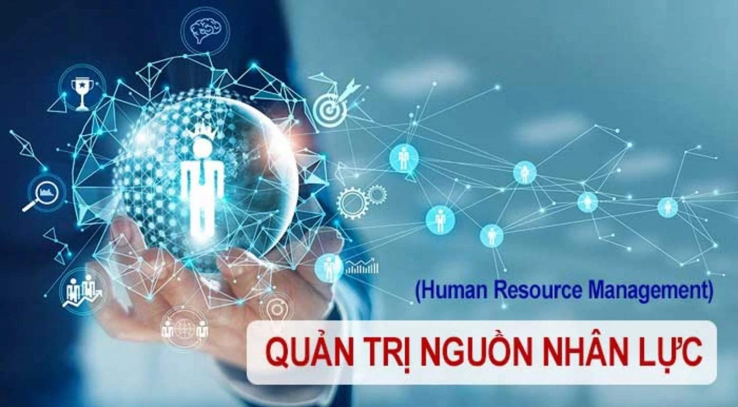 Quản Trị Nguồn Nhân Lực Chìa Khóa Thành Công Doanh Nghiệp | Trường Cao Đẳng Đại Việt Đà Nẵng